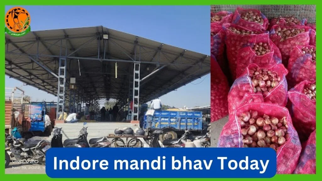 इंदौर मंडी भाव | Indore mandi bhav Today | आज के इंदौर मंडी भाव | आज के मंडी भाव | Indore mandi Rate Indore mandi bhav आज के मंडी भाव JagoKisan