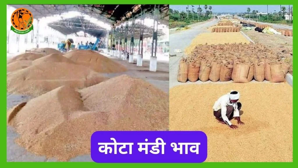 Kota Mandi Bhav कोटा मंडी भाव Jagokisan