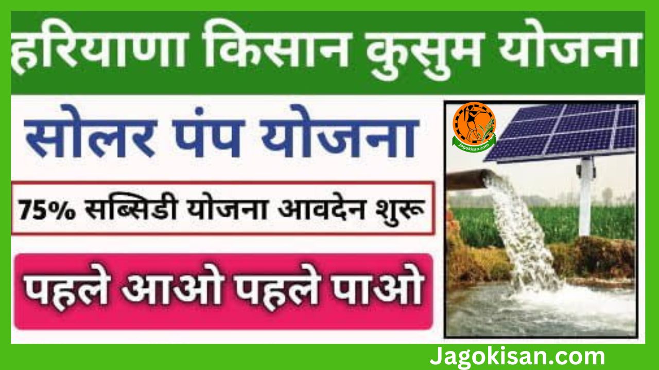हरियाणा सोलर वाटर पंप योजना 2023 Haryana solar water pump yojana 2023