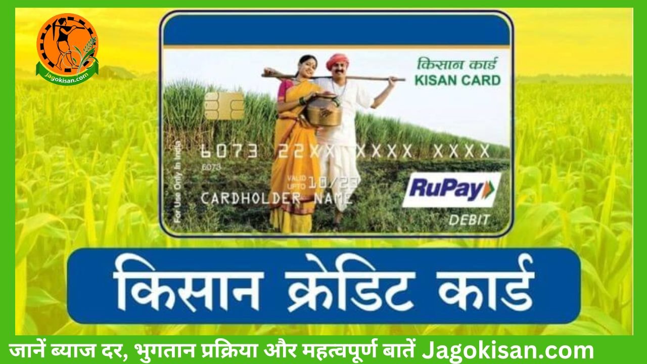 Kisan Credit Card (KCC) कृषि क्रेडिट कार्ड जानें ब्याज दर, भुगतान प्रक्रिया और महत्वपूर्ण बातें