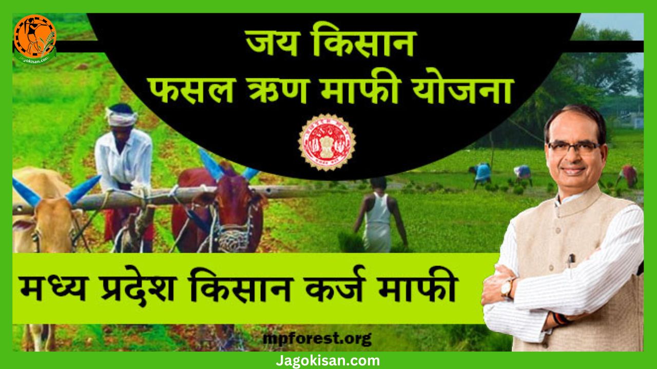 MP Jai Kisan Fasal Karj Mafi Yojana 2023| जय किसान फसल ऋण माफी योजना 2023: मध्य प्रदेश कर्ज माफी लिस्ट,