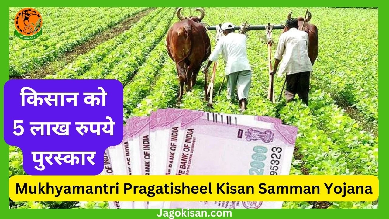 Mukhyamantri Pragatisheel Kisan Samman Yojana 2023