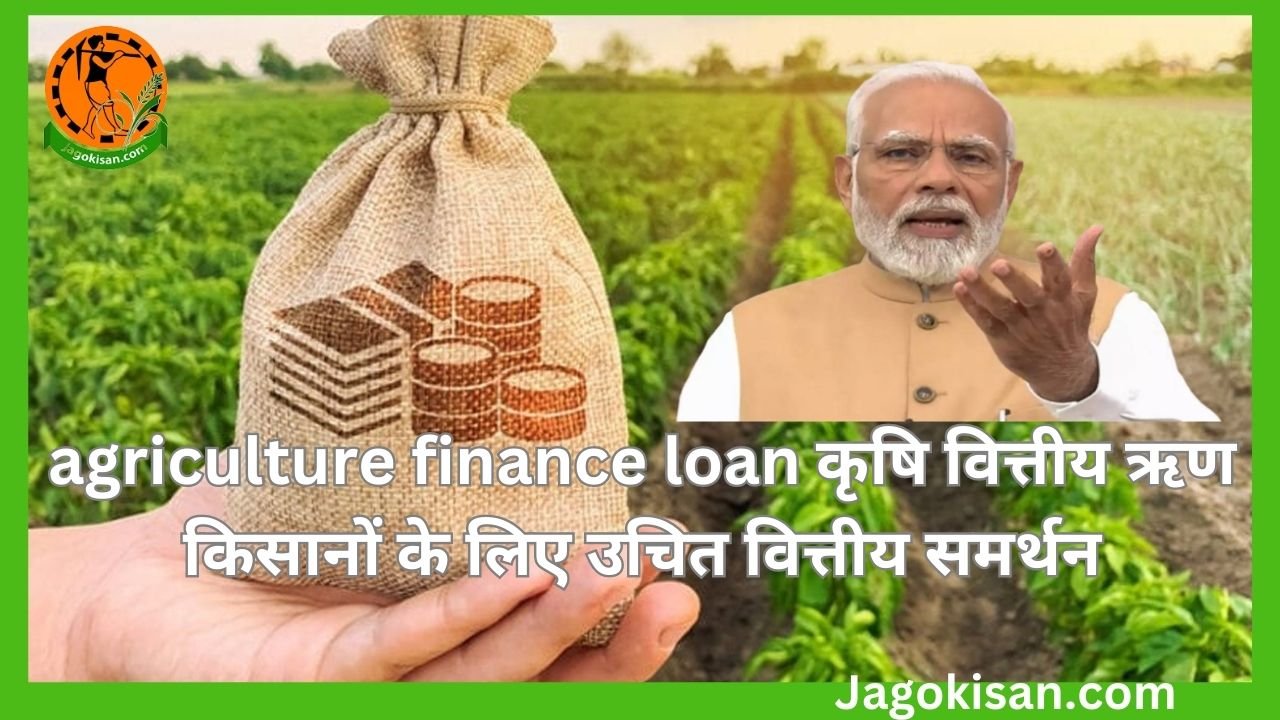 agriculture finance loan कृषि वित्तीय ऋण किसानों के लिए उचित वित्तीय समर्थन