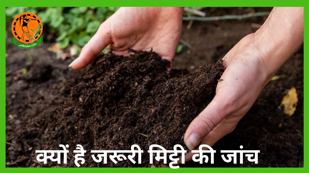 mitti-ki-janch-kaise-ki-jaati-hai-soil-testing-methods-for-agriculture-fertilizer-natural-farming