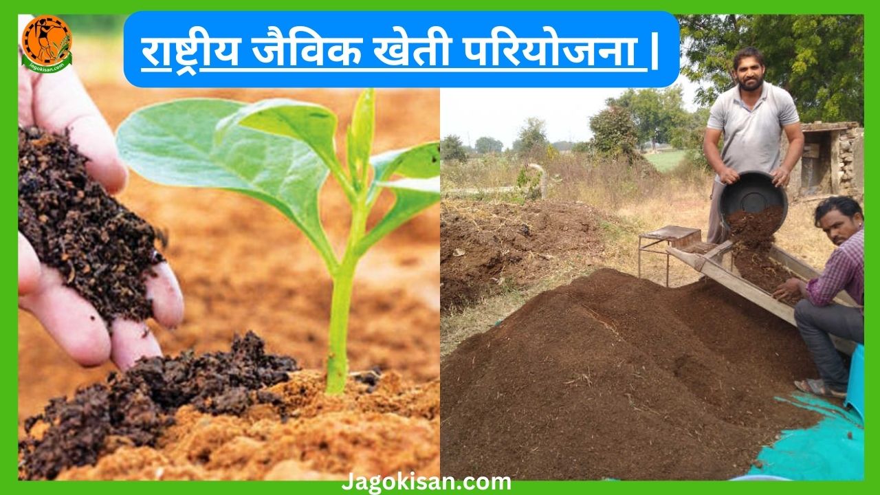 राष्ट्रीय jaivik kheti परियोजना National Organic Farming Project
