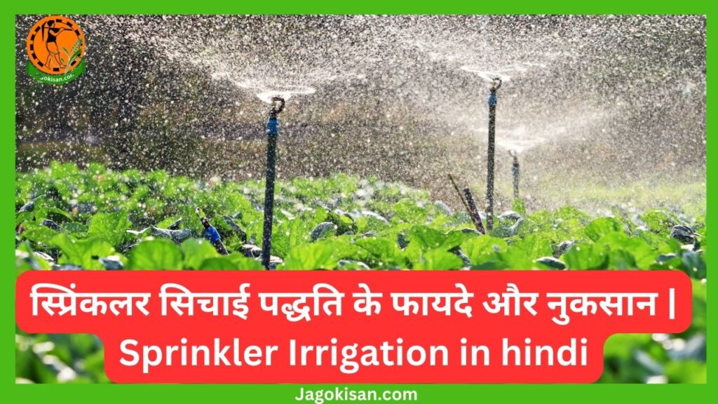 स्प्रिंकलर सिचाई पद्धति के फायदे और नुकसान Sprinkler Irrigation in hindi