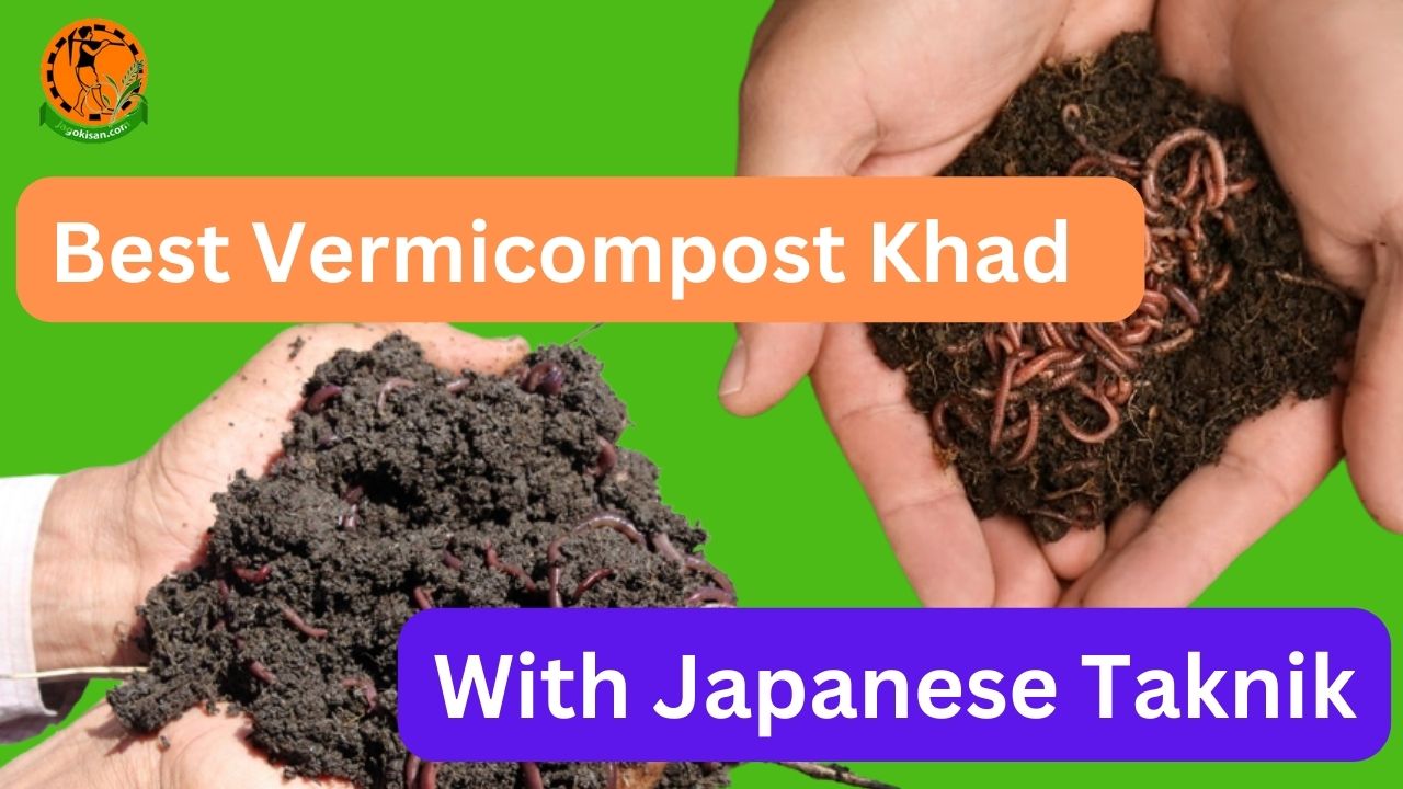 Best Vermicompost Khad With Japanese Taknik उत्तम कंपोस्ट हेतु जापानी विधि