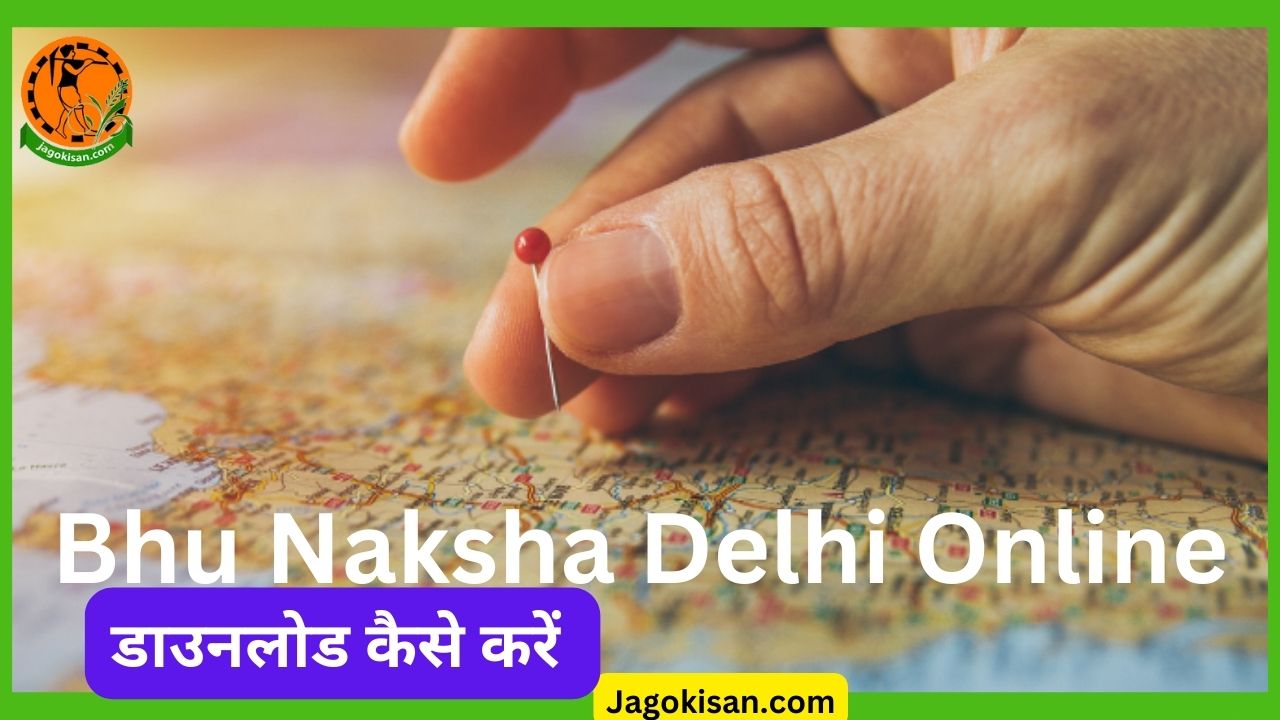 Bhu Naksha Delhi Online दिल्ली भू नक्शा चेक और डाउनलोड कैसे करें gsdl.org.inrevenue 2023