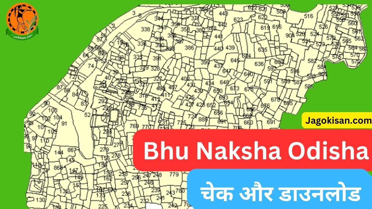 Bhu Naksha Odisha | ओडिशा भू नक्शा चेक और डाउनलोड कैसे करें new update 2023