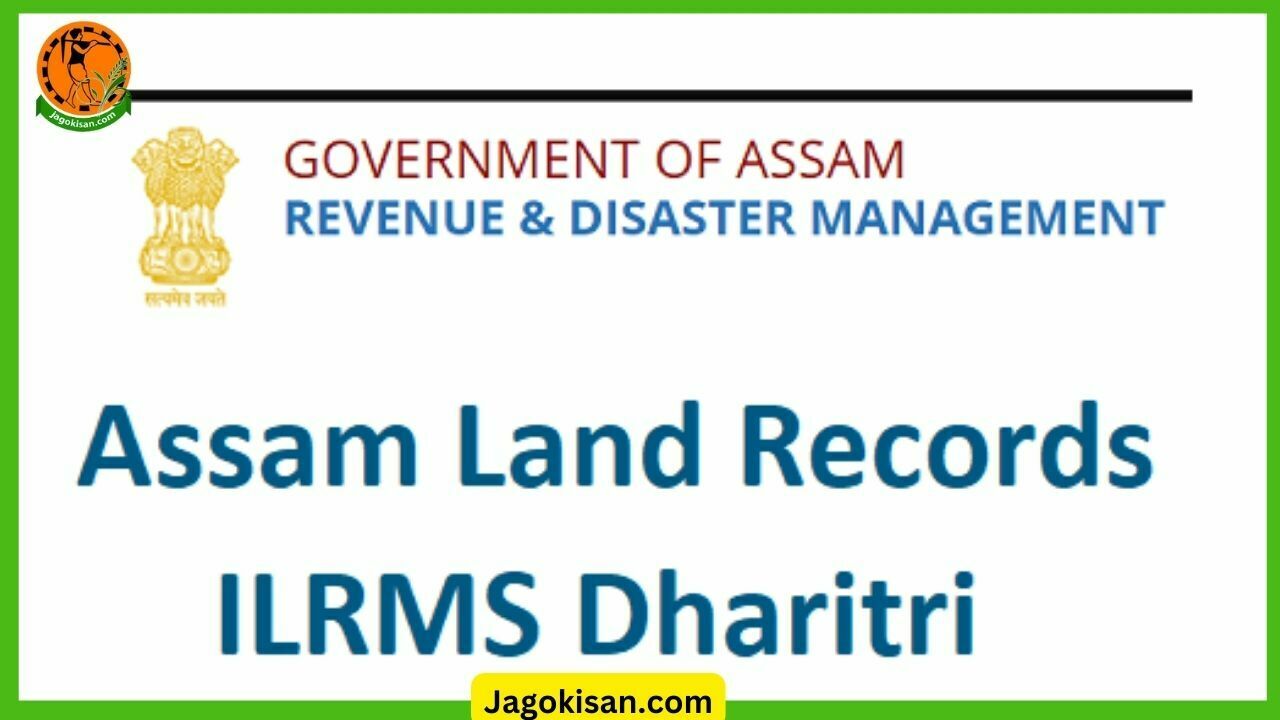 Dharitri assam land records Search Jamabandi Copy revenueassam.nic.in