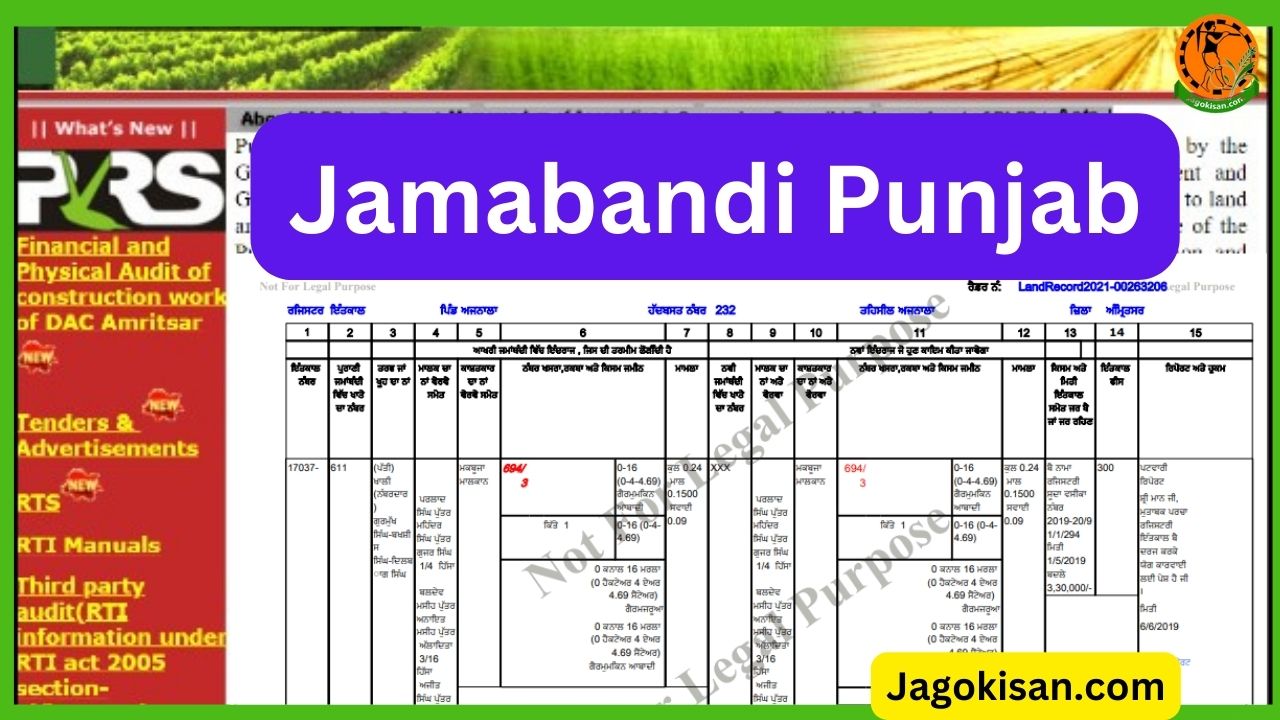 Jamabandi Punjab land records 2024 | पंजाब भूलेख जमाबंदी चेक कैसे करें | Fard Punjab Bhulekh Jamabandi | @ jamabandi.punjab.gov.in