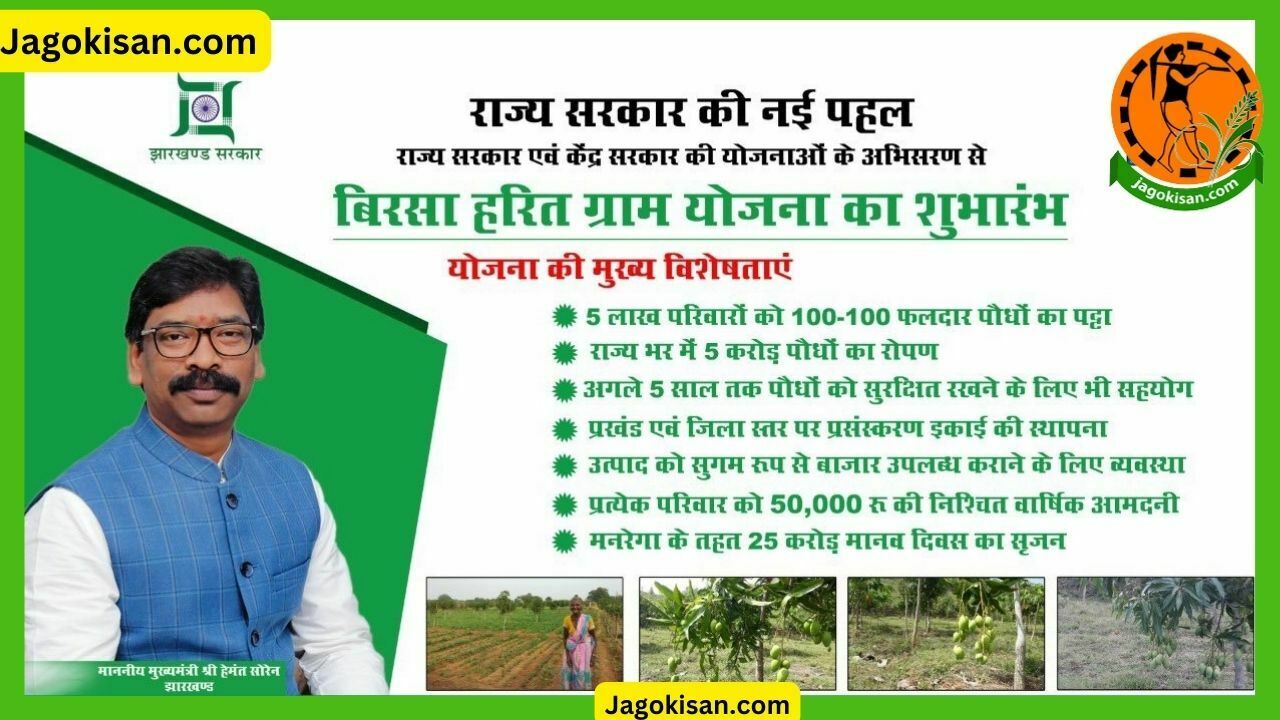 Jharkhand Birsa Harit Gram Yojana बिरसा हरित ग्राम योजना से मिलेगा रोजगार, किसानों की आय में होगी वृद्धि