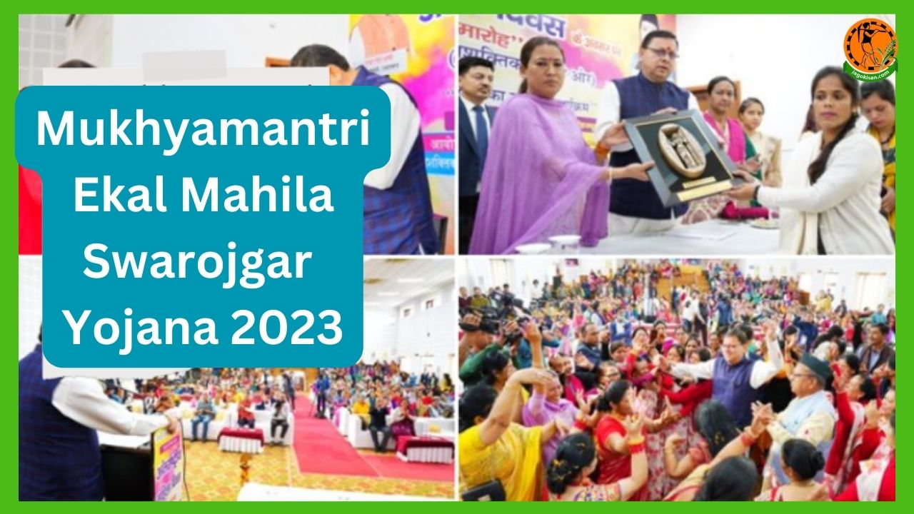 Mukhyamantri Ekal Mahila Swarojgar Yojana 2023