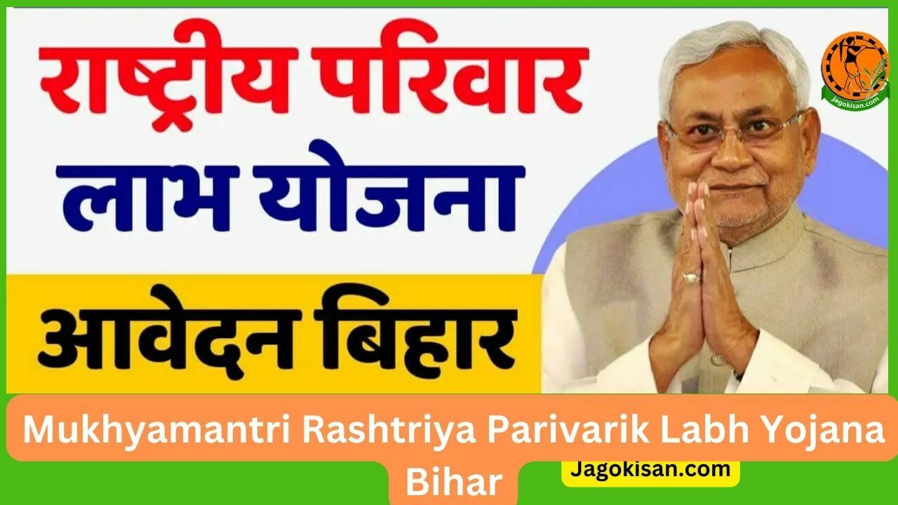 Mukhyamantri Rashtriya Parivarik Labh Yojana Bihar 2023 ऑनलाइन आवेदन, Form Pdf