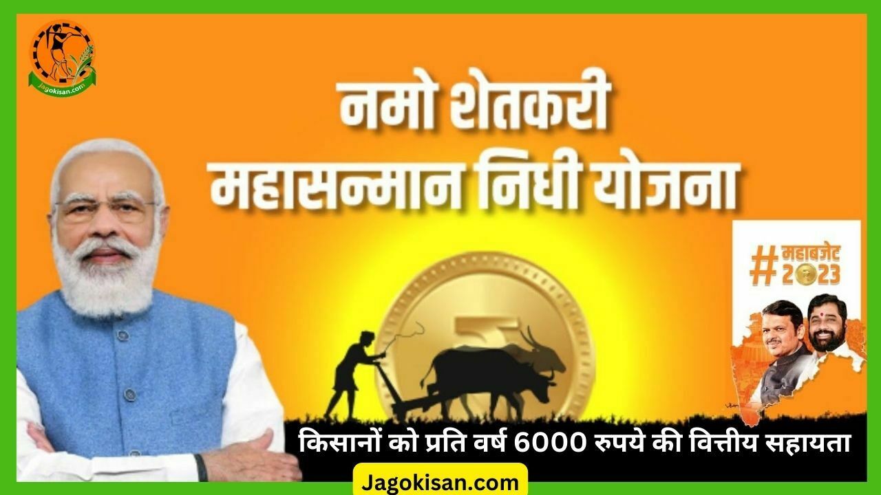 Namo Shetkari Maha Sanman Nidhi Yojana 2023 नमो शेतकरी महा सन्मान निधि योजना ऑनलाइन आवेदन