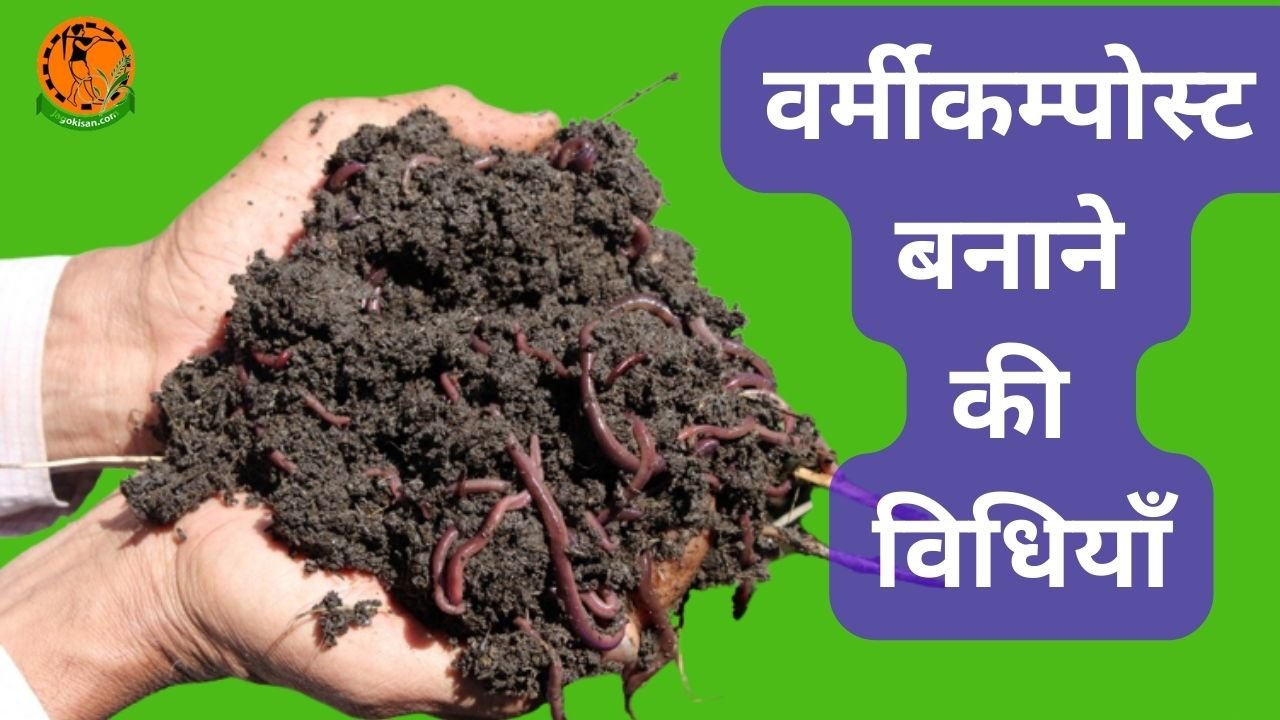 Vermicompost Khad banane ki aasan vidhi|वर्मीकम्पोस्ट बनाने की विधियाँ