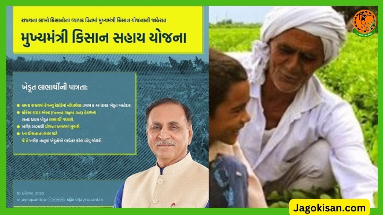 Mukhyamantri Kisan Sahay Yojana