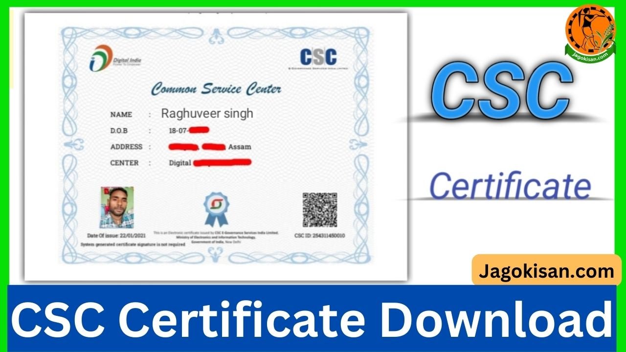 CSC Certificate Download
