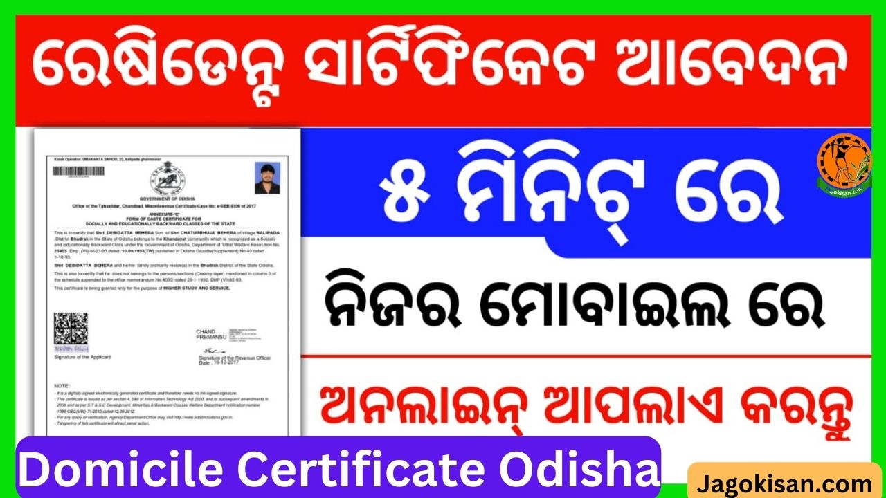 Domicile Certificate Odisha