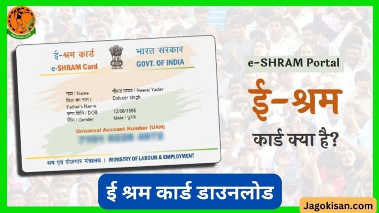 E Shram Card Download Pdf By Mobile Number Uan Aadhar