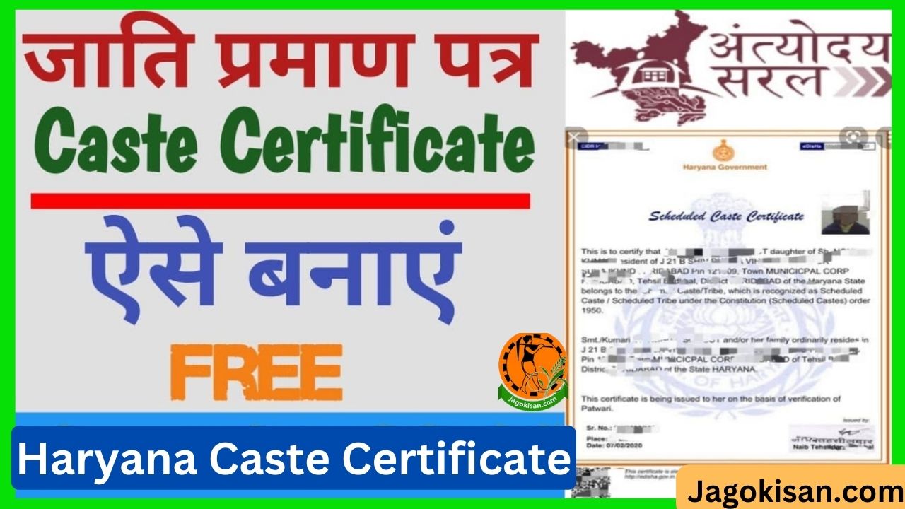 Haryana Caste Certificate