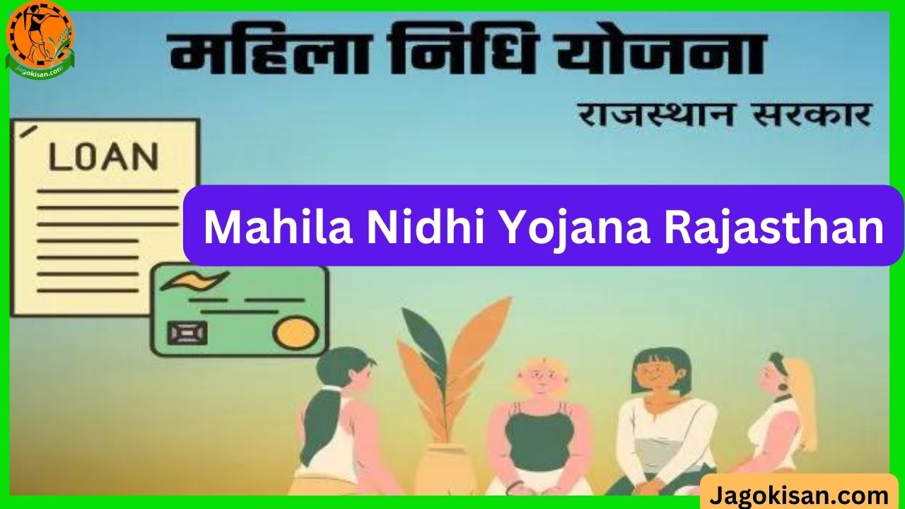 Rajasthan Mahila Nidhi Yojana