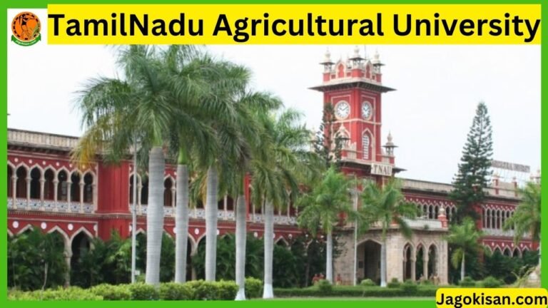 TamilNadu Agricultural University | Agricultural University TamilNadu ...