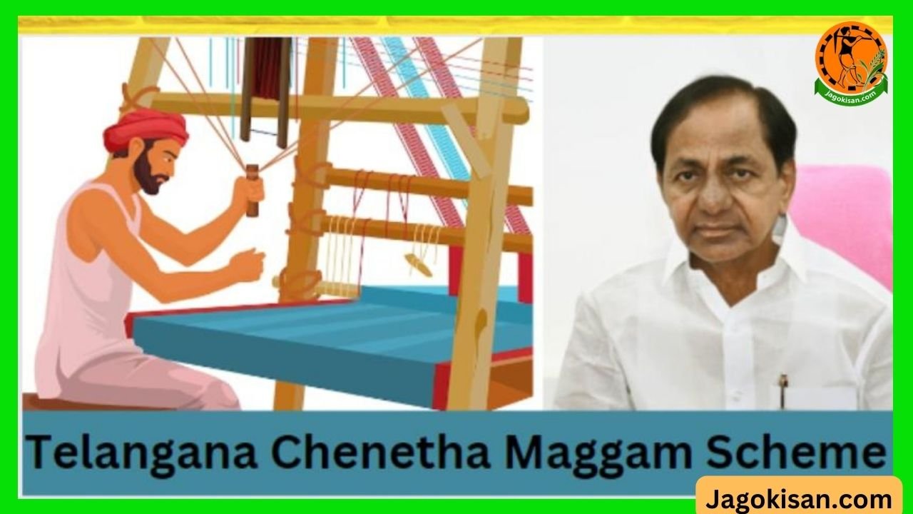 Telangana Chenetha Maggam Scheme