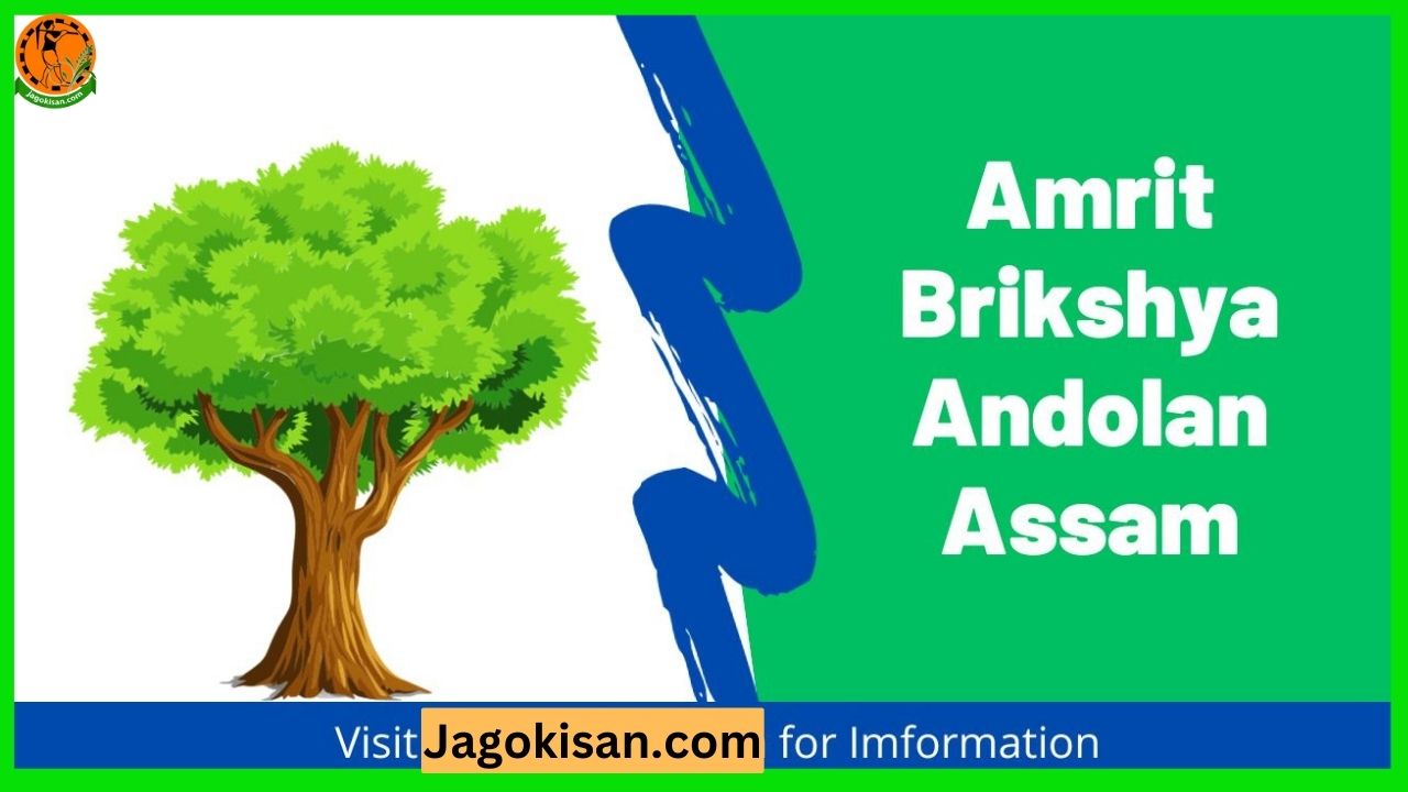Assam Amrit Brikshya Andolan