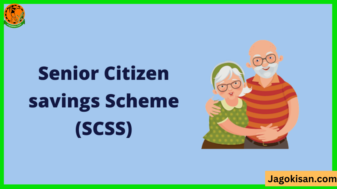 Senior Citizen Saving Scheme