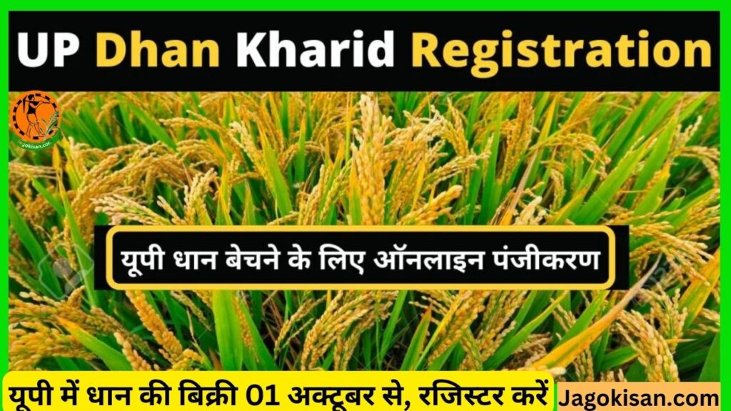 UP Dhan Kharid Registration