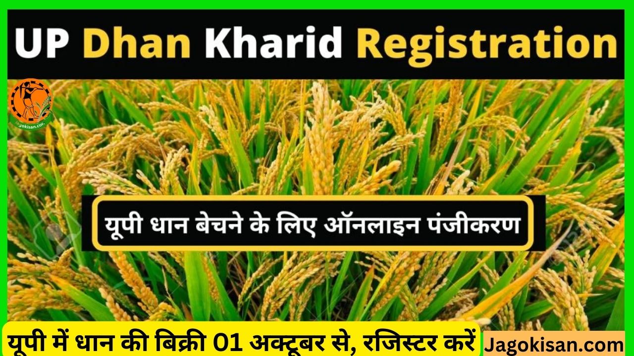 UP Dhan Kharid Registration