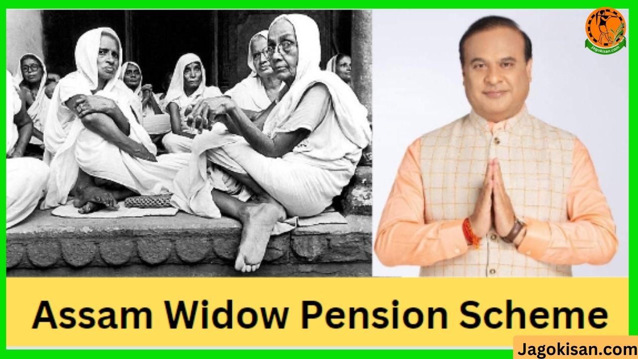 Assam Widow Pension Scheme