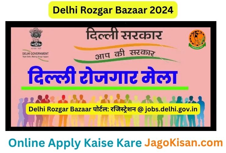 Delhi Rozgar Bazaar पोर्टल: रजिस्ट्रेशन @ jobs.delhi.gov.in