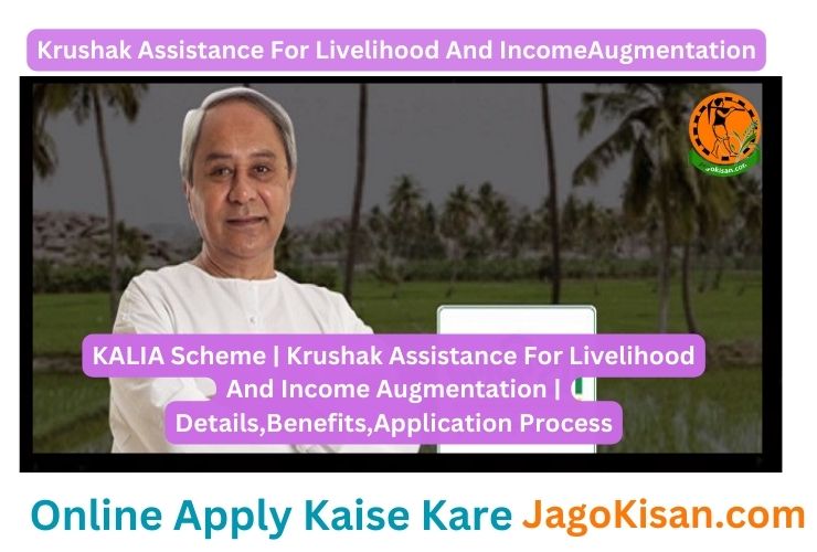 KALIA Scheme | Krushak Assistance For Livelihood And Income Augmentation | Details,Benefits,Application Process