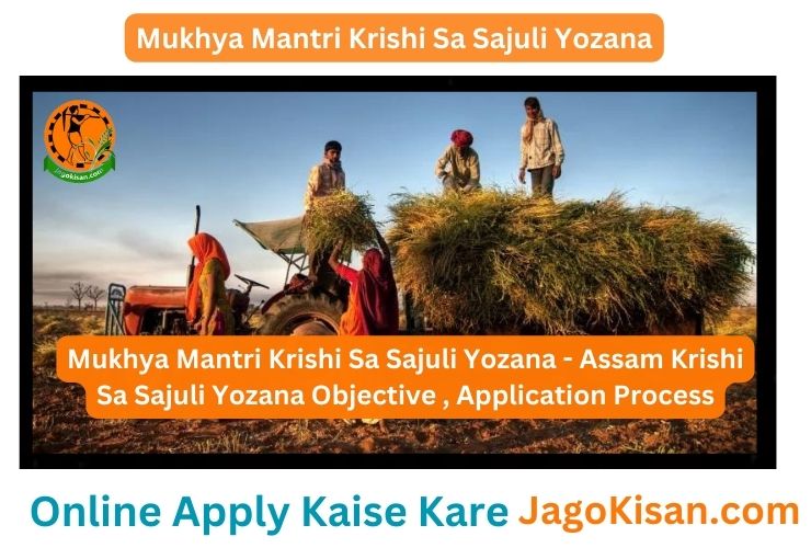 Mukhya Mantri Krishi Sa Sajuli Yojana - Assam Krishi Sa Sajuli Yojana Objective , Application Process