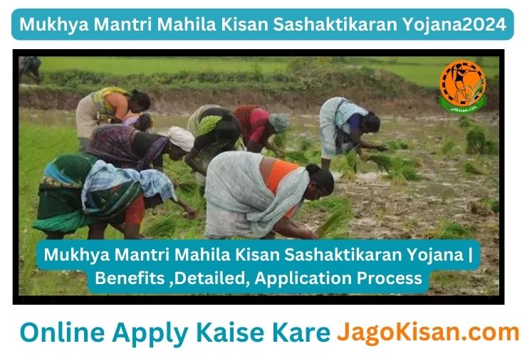 Mukhya Mantri Mahila Kisan Sashaktikaran Yojana | Benefits ,Detailed, Application Process