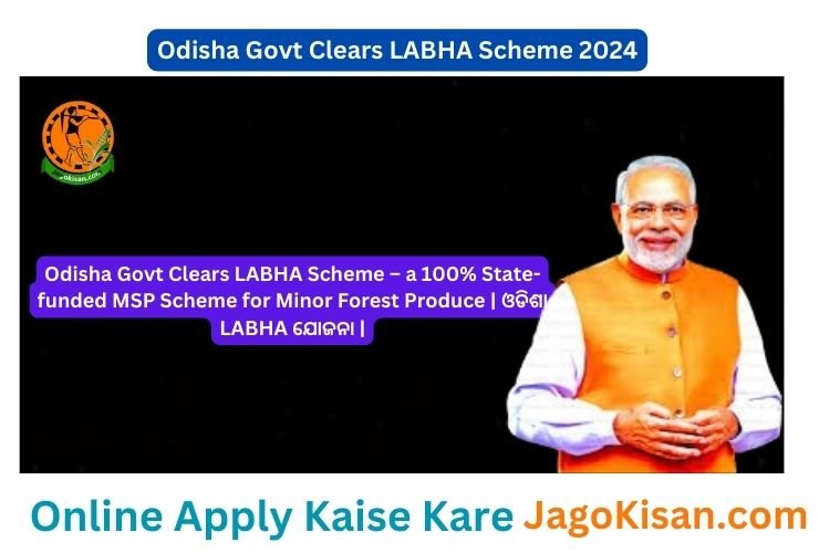 Odisha Labha Scheme | 100% State-funded MSP Scheme for Minor Forest Produce | ଓଡିଶା LABHA ଯୋଜନା |