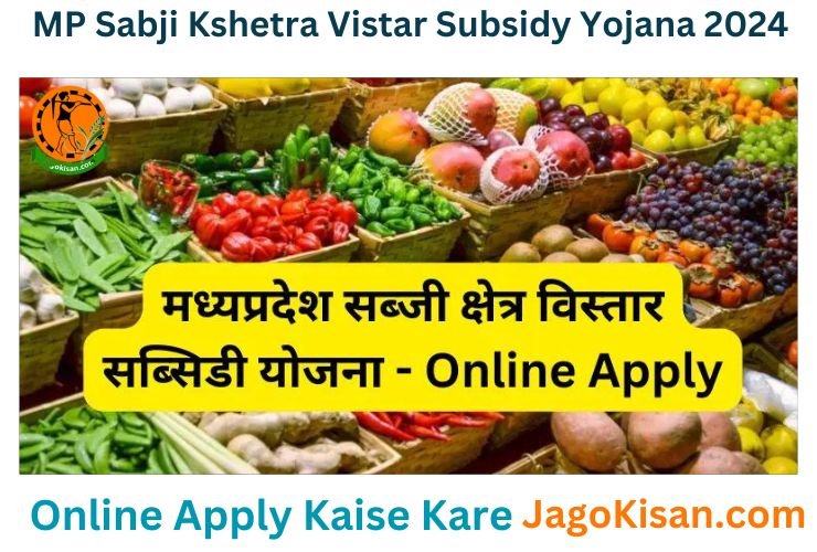 MP Sabji Kshetra Vistar Subsidy Yojana 2024 | मध्य प्रदेश सब्जी विस्तार सब्सिडी योजना 2024: ऑनलाइन आवेदन, रजिस्ट्रेशन फॉर्म