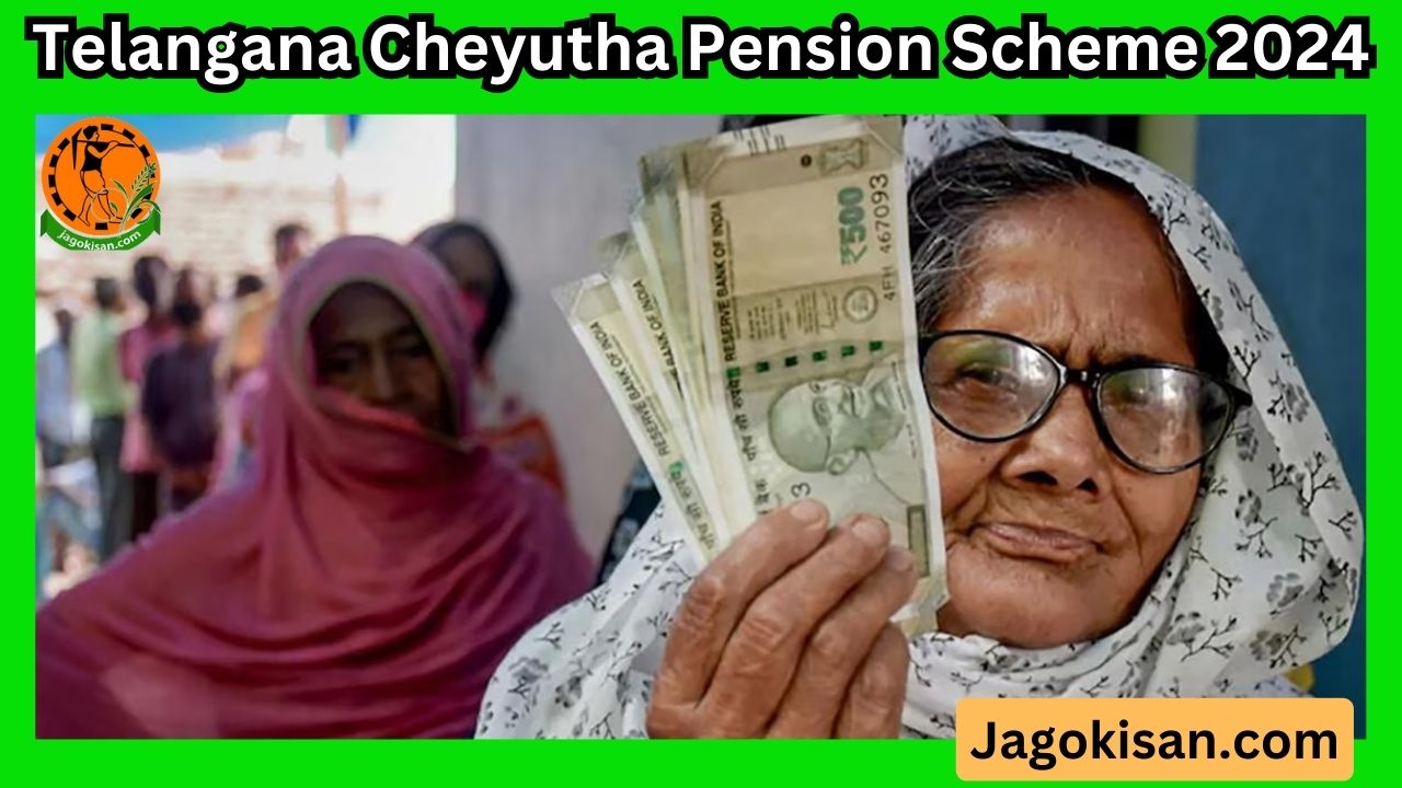 Telangana Cheyutha Pension Scheme 2024: How to Apply, Benefits