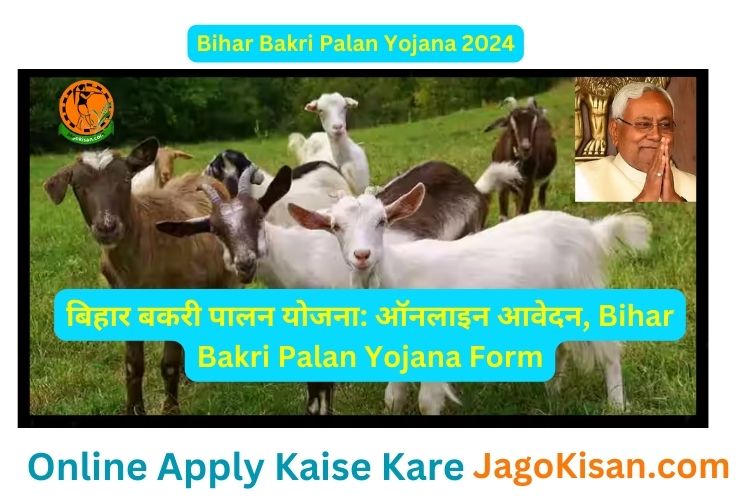 Bihar Bakri Palan Yojana 2024 | बिहार बकरी पालन योजना: ऑनलाइन आवेदन, Bihar Bakri Palan Yojana FormBihar Bakri Palan Yojana 2024 |