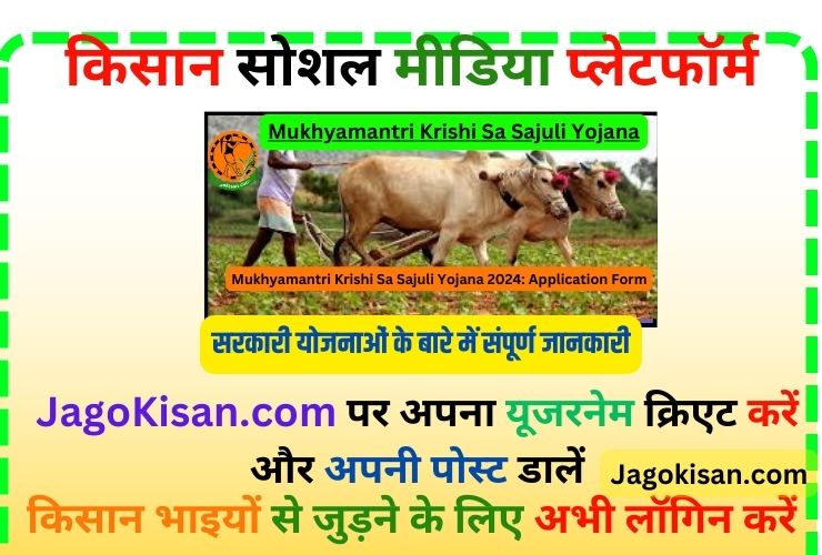 Mukhyamantri Krishi Sa Sajuli Yojana 2024: Application Form | মুখীমন্ত্ৰী কৃষি সাজুলী যোজনা
