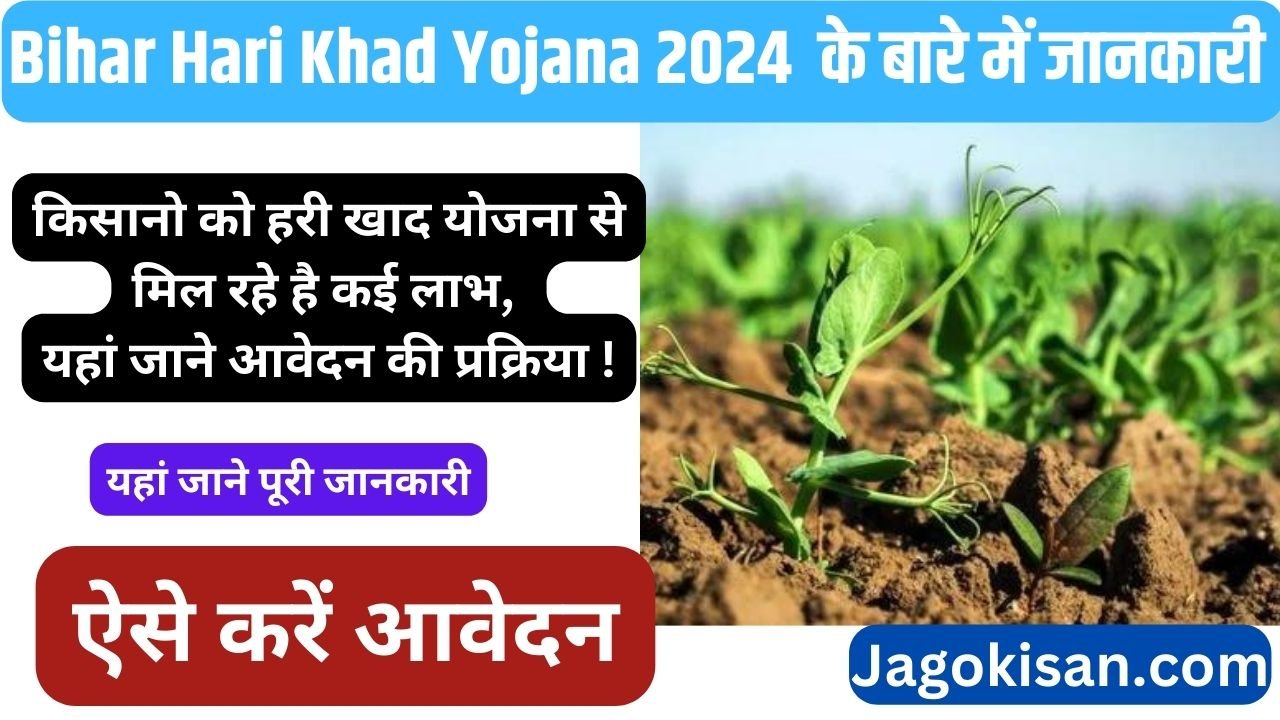 Bihar Hari Khad Yojana 2024: किसानो को हरी खाद योजना से मिल रहे है कई लाभ, यहां जाने आवेदन की प्रक्रिया !