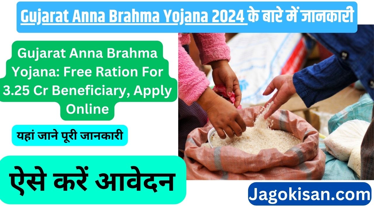 Gujarat Anna Brahma Yojana: Free Ration For 3.25 Cr Beneficiary, Apply Online