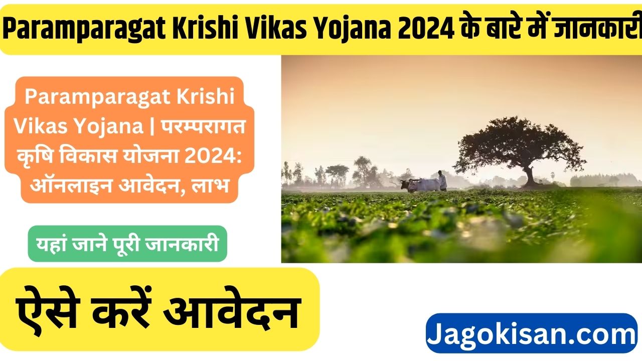 Paramparagat Krishi Vikas Yojana | परम्परागत कृषि विकास योजना 2024: ऑनलाइन आवेदन, लाभ