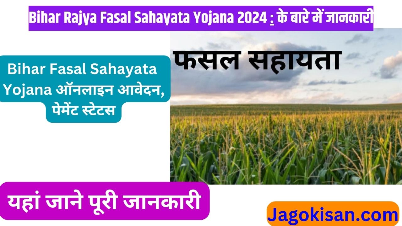 Bihar Rajya Fasal Sahayata Yojana 2024: Bihar Fasal Sahayata Yojana ऑनलाइन आवेदन, पेमेंट स्टेटस