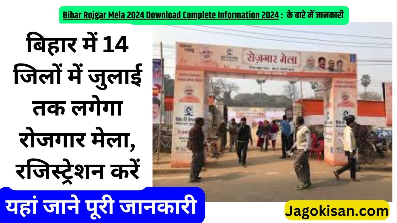 Bihar Rojgar Mela 2024: बिहार में 14 जिलों में जुलाई तक लगेगा रोजगार मेला, रजिस्ट्रेशन करें @ ncs.gov.in