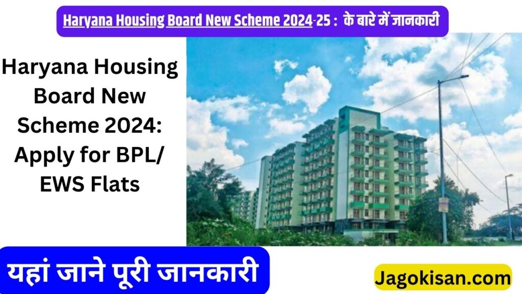 Haryana Housing Board New Scheme 2024: Apply for BPL/ EWS Flats @ hbh.itcell@gmail.com