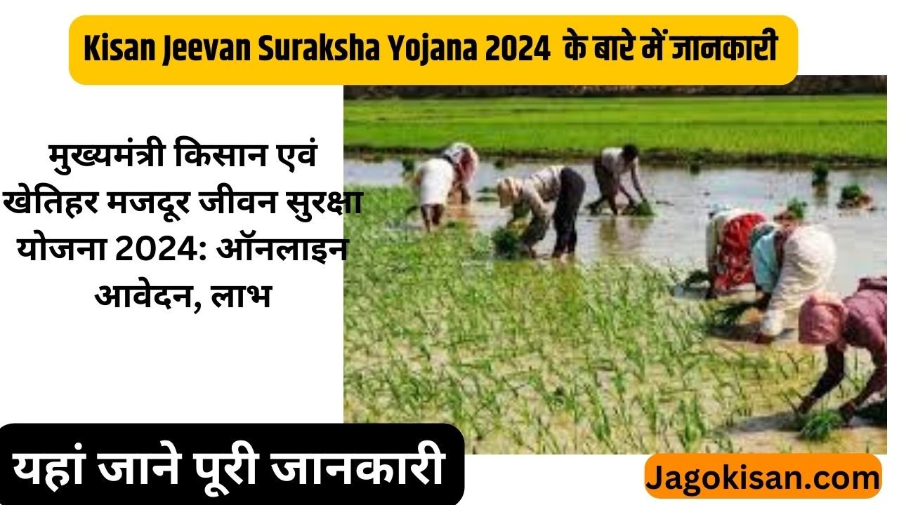 Kisan Jeevan Suraksha Yojana 2024 | मुख्यमंत्री किसान एवं खेतिहर मजदूर जीवन सुरक्षा योजना 2024: ऑनलाइन आवेदन, लाभ @ agriharyana.gov.in