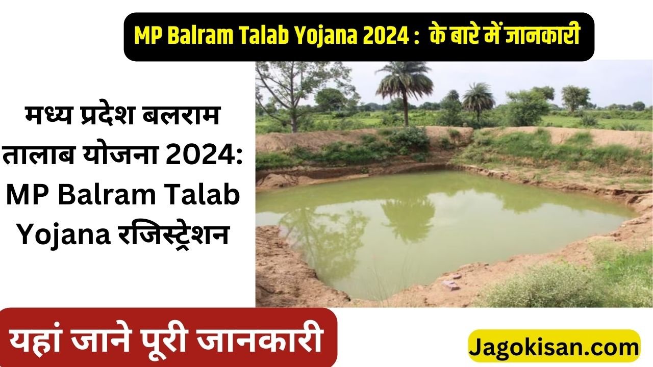 MP Balram Talab Yojana | मध्य प्रदेश बलराम तालाब योजना 2024: MP Balram Talab Yojana रजिस्ट्रेशन